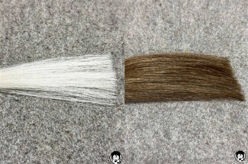 ビゲン泡クリームカラー  3N シフォンブラウンと白髪の比較
