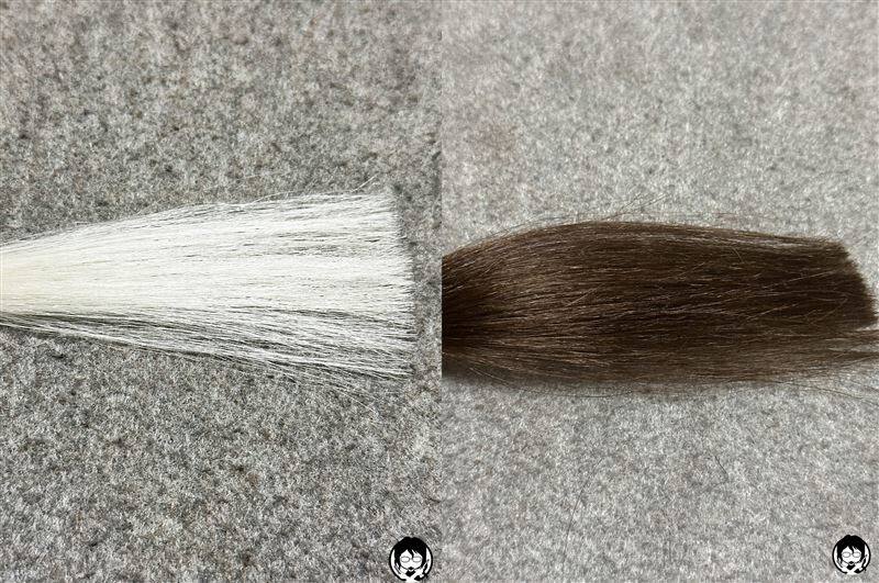 ビゲンオイルパックカラー  3NB 明るいナチュラルブラウンと白髪の比較