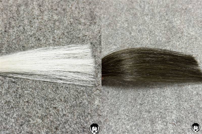 ビゲンオイルパックカラー  4AB やや明るいアッシュブラウンと白髪の比較