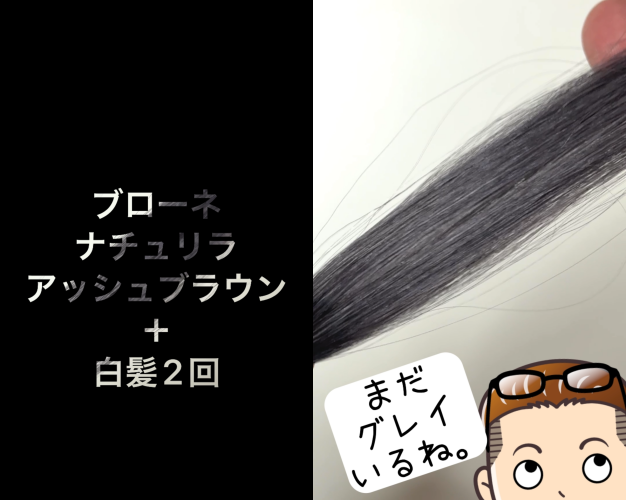 ブローネナチュリラカラートリートメント　アッシュブラウン染めてみた