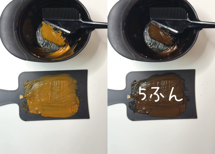 ブローネナチュリラカラートリートメント　ダークブラウン染めてみた