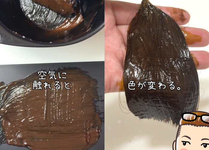 ブローネナチュリラカラートリートメント　ダークブラウン染めてみた