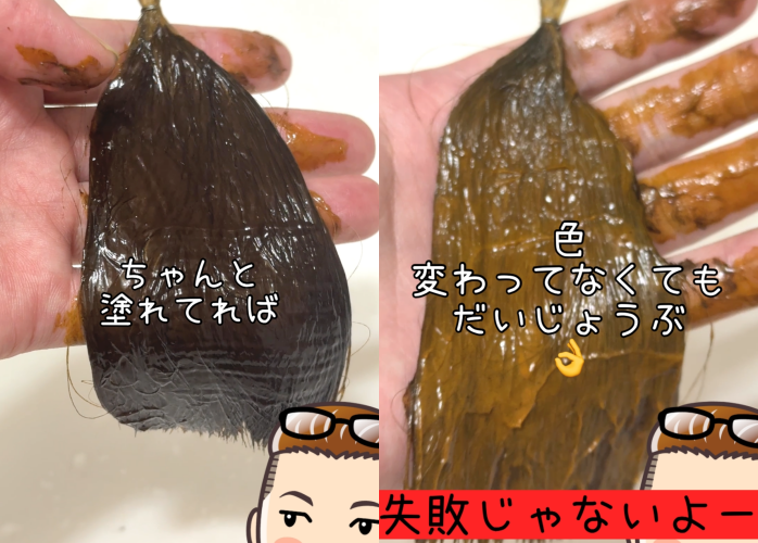 ブローネナチュリラカラートリートメント　ダークブラウン染めてみた