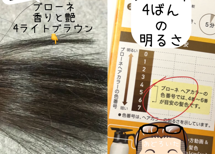 ブローネナチュリラカラートリートメント　ダークブラウン染めてみた