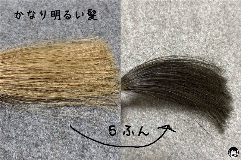 clayence(クレイエンス）クレイエンスクレイスパ　カラートリートメント　アッシュブラウンをかなり明るい髪に塗って5分後の髪色の変化