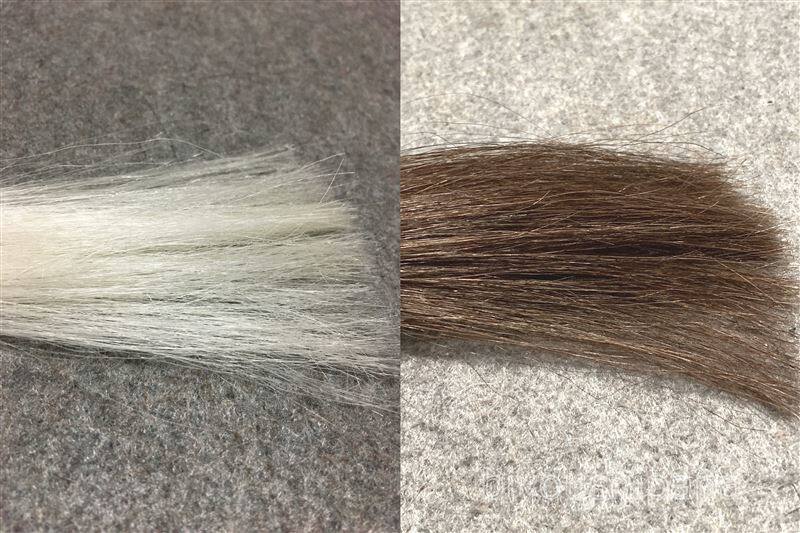 シエロヘアカラートリートメントダークブラウンと白髪の色比較