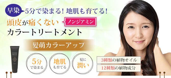 髪萌カラーアップ