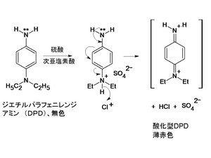 白髪染めとアレルギーの話