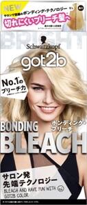 got2bブリーチ