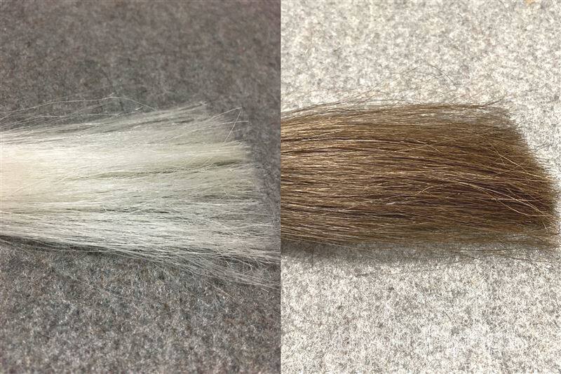 ハイステップヘアカラートリートメント　ダークブラウンと白髪の色比較