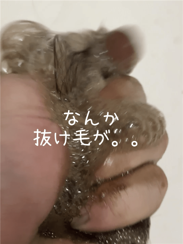 「利尻炭酸カラーシャンプー」体験レビュー4回目のシャンプーもみこみ