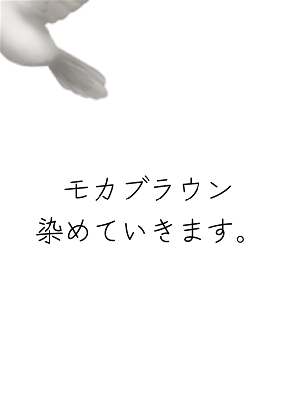RISHIRIA Furel（リシリアフレル）カラーシャンプー体験レビューモカブラウン荷物届く