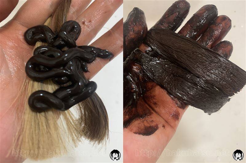ハーバニエンスヘアカラートリートメント体験レビュー