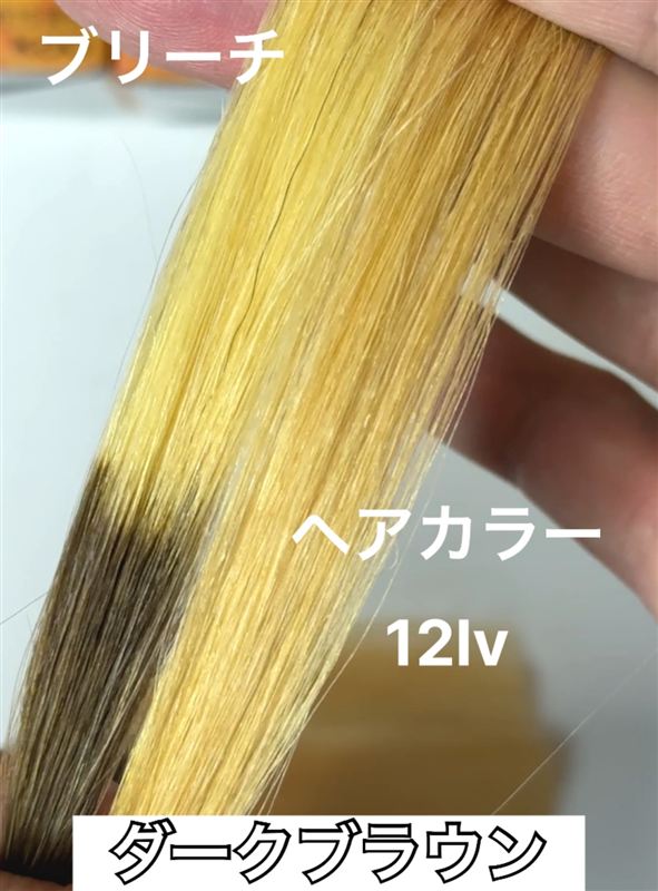 ブローネナチュリラで染めた髪をブリーチとヘアカラーで明るくした髪色比較
