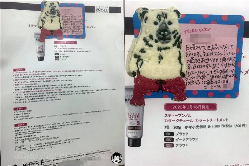 KOSEから送られたパンフレット