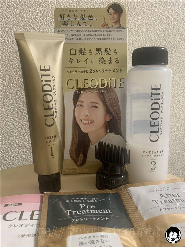 体験したクレオディーテクリアリーカラー体験