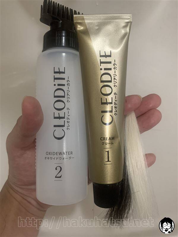 クレオディーテ　クリアリーカラー体験