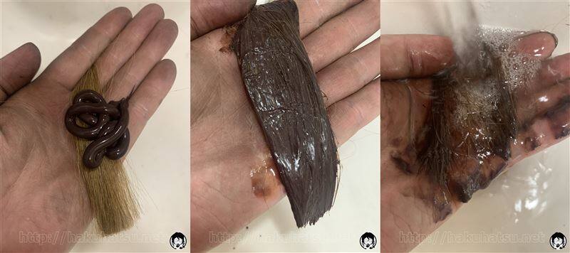 スティーブンノルカラークチュール　カラートリートメント体験レビュー　ブラウンで2.3回染めた白髪