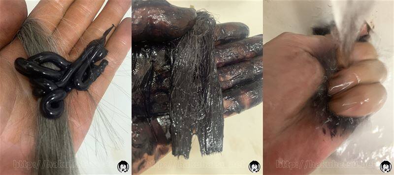スティーブンノルカラークチュール　カラートリートメント体験レビュー染めた白髪　
