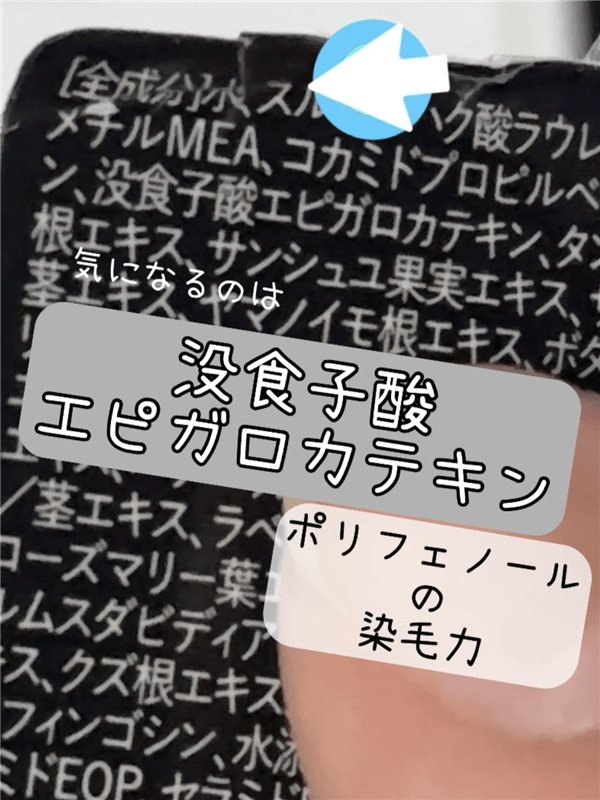 没食子酸エピガロカテキンの成分表示