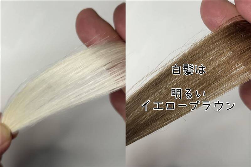 COLORIS(カラリス）オーダーメイドヘアカラー体験レビュー美容師パパのカラー診断結果のカラー剤を使用した解説　白髪を染めた色