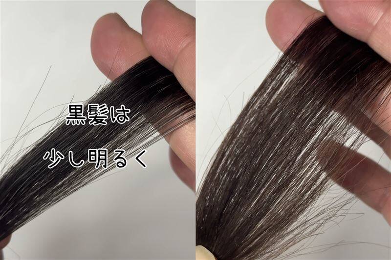 COLORIS(カラリス）オーダーメイドヘアカラー体験レビュー美容師パパのカラー診断結果のカラー剤を使用した解説　黒髪を染めた色