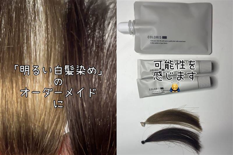 COLORIS(カラリス）オーダーメイドヘアカラー体験レビュー美容師パパのカラー診断結果のカラー剤を使用した解説