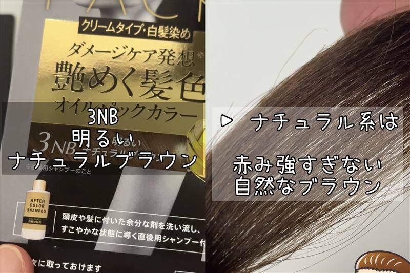 ビゲンオイルパックカラー「白髪染め」ナチュラル・アッシュ選び方の解説