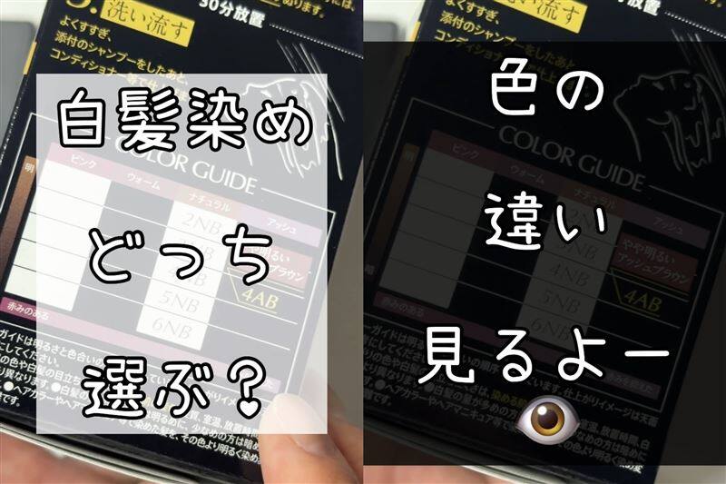 ビゲンオイルパックカラー「白髪染め」ナチュラル・アッシュ選び方の解説