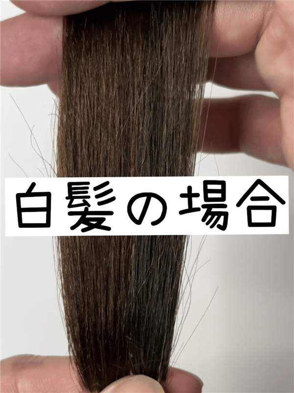 ビゲンオイルパックカラー「白髪染め」ナチュラル・アッシュ選び方の解説