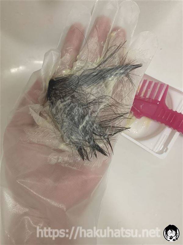 ビゲン香りのヘアカラー体験　黒髪に塗る