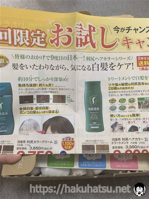 利尻カラークリーム体験　チラシ