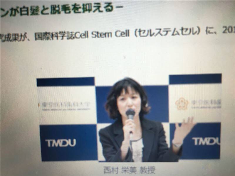 研究発表