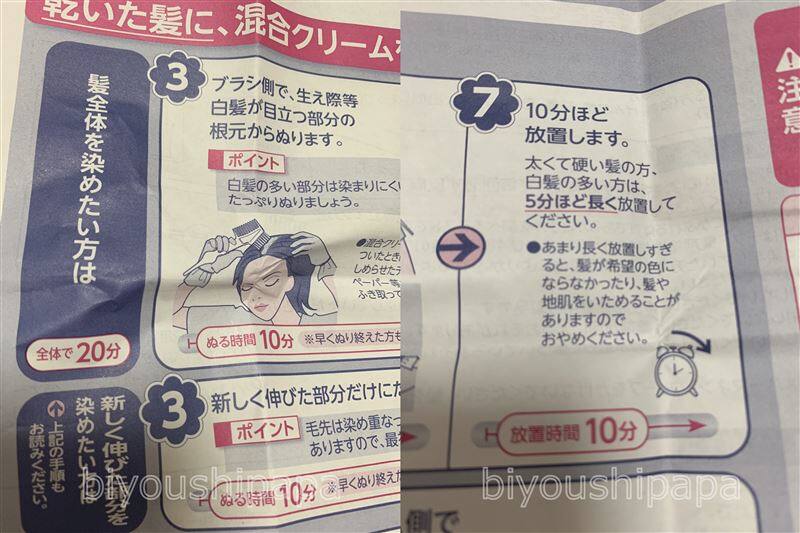 ビゲンスピーディカラー体験レビュー説明書