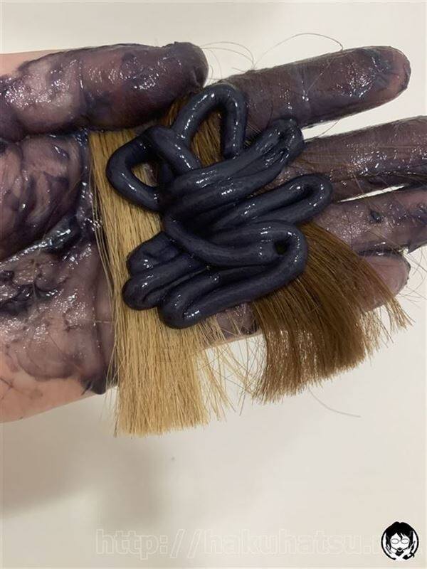資生堂プリオールグレーを明るい髪、かなり明るい髪に染めた過程