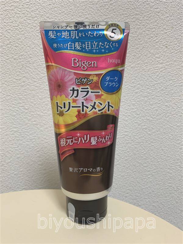 体験したビゲンカラートリートメント