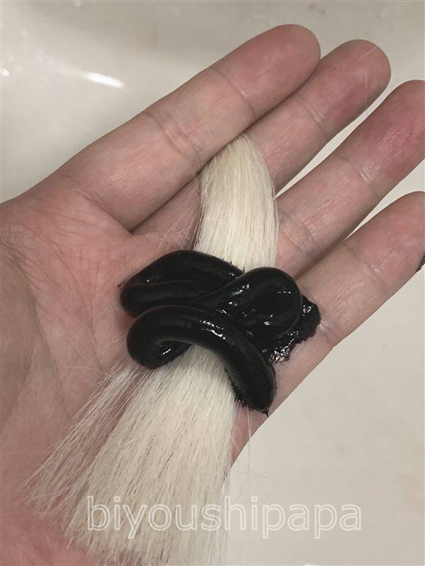 ウエラトーンヘアカラートリートメント体験レビュー