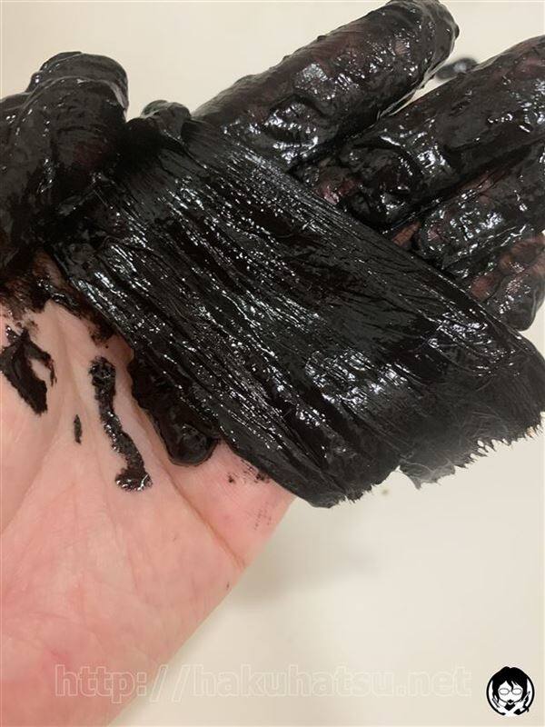 ウエラトーン ヘアカラートリートメント ダークブラウンを明るい髪に染める