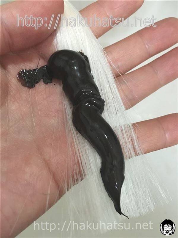 利尻カラートリートメント白髪に染めた色