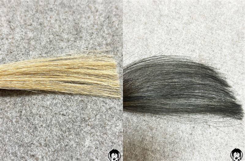サイオス カラージェニック サロンコレクションを金髪・茶髪に染める