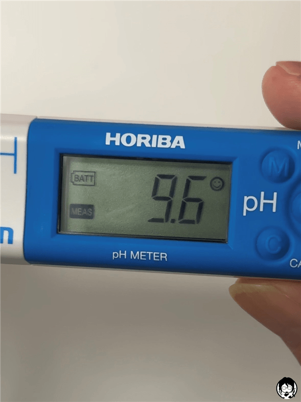 ビーリスエアリーカラーリングフォーム体験レビュー「PH　9.6」