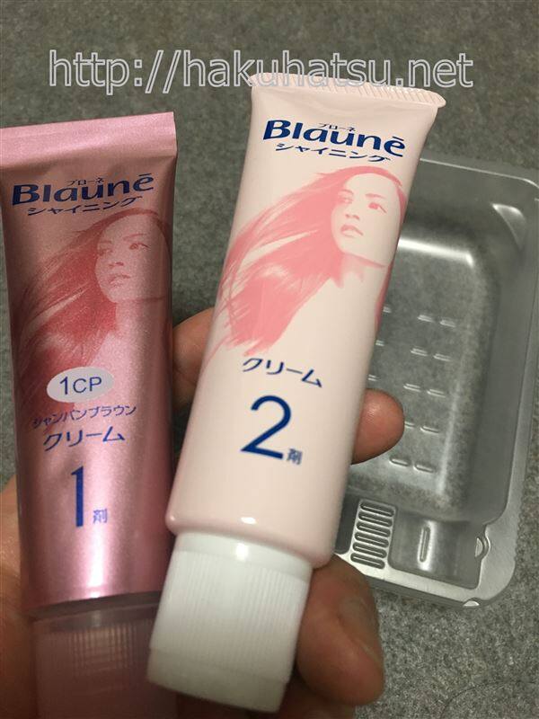 ブローネシャイニング体験