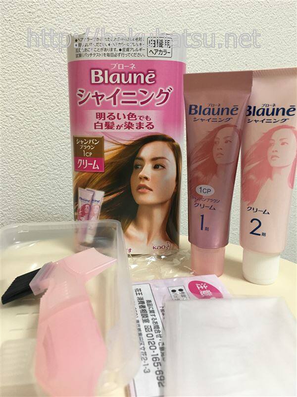 体験したブローネシャイニング