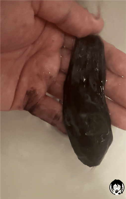 クレオディーテ オイルジェリーカラートリートメント体験　お湯流し