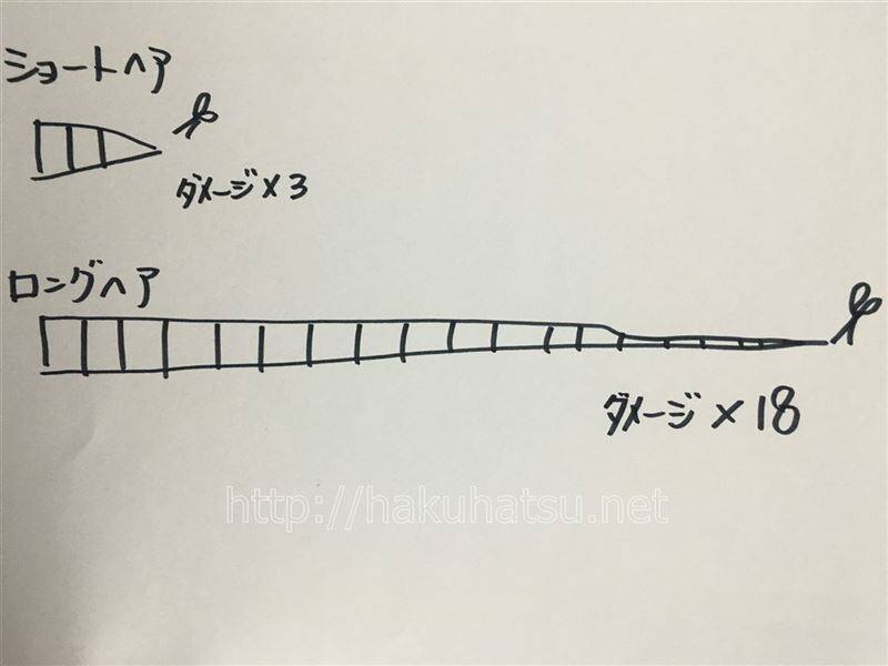 白髪染めの頻度と髪の長さの関係
