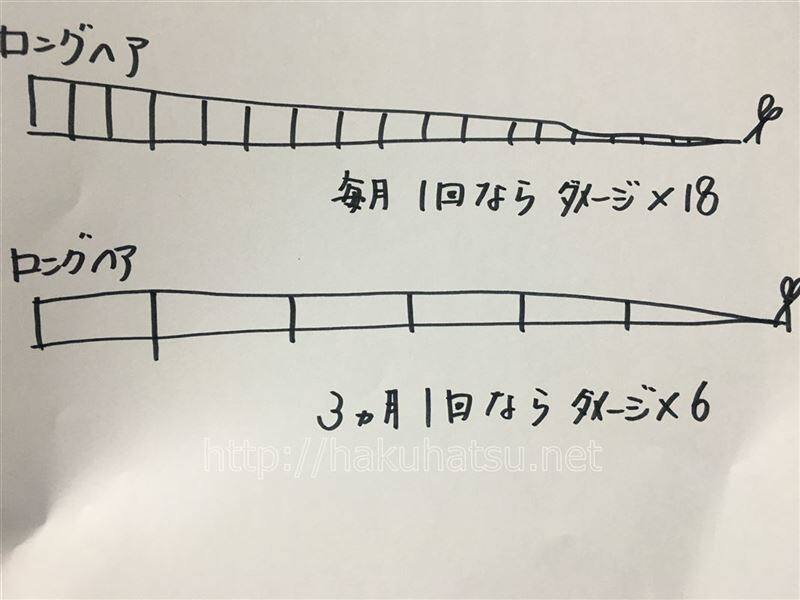 白髪染めの頻度と髪の長さの関係