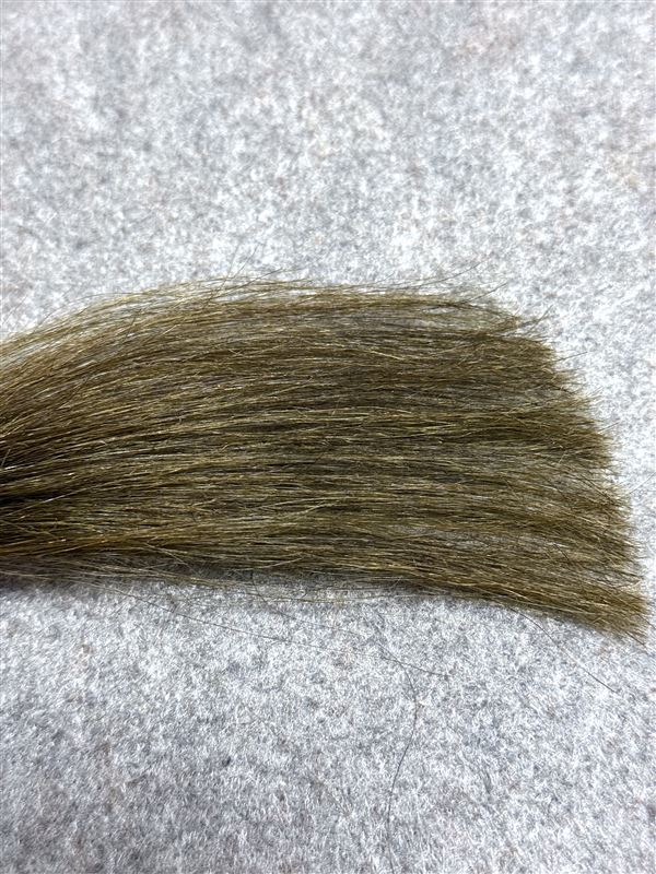 サロンドプロ オイルリッチクリームヘアカラー 3BE ピュアベージュを白髪に染めた色