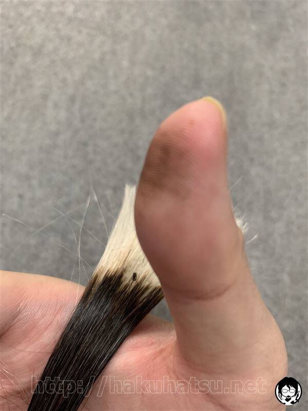 ビゲンヘアマスカラ白髪かくし体験レビュー乾いた後の色うつり