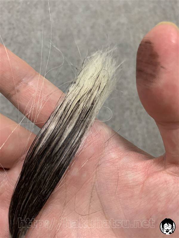 ブローネヘアマスカラ白髪かくし体験レビュー色うつり確認