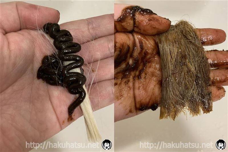 ドルチェスパイス体験レビュー付属のカラートリートメントを白髪に塗布
